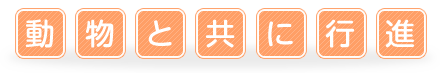 動物と共に行進