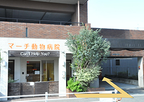 病院真横からお入りください