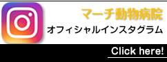 インスタ
