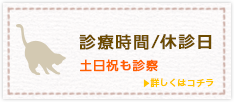 診療時間/休診日