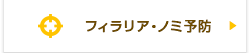 フェラリア・ノミ予防