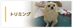 トリミング