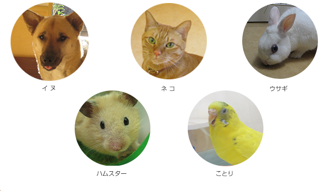 対象可能動物