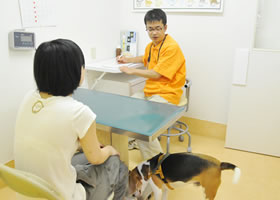 動物ができるだけリラックスできるように