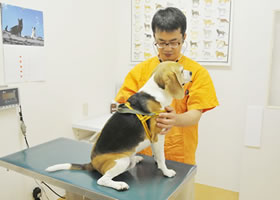 身体の状態を確認