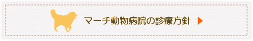 マーチ動物病院の診療方針