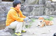 しつけ教室