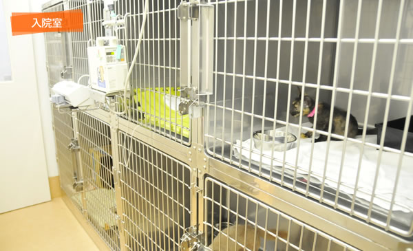 マーチ動物病院 院内