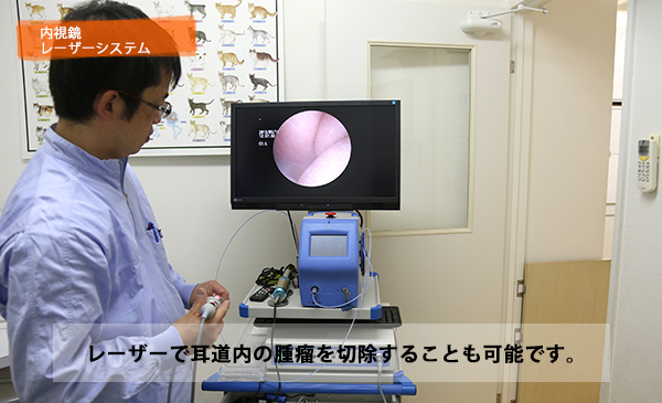 マーチ動物病院 院内