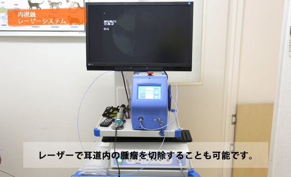 マーチ動物病院 院内