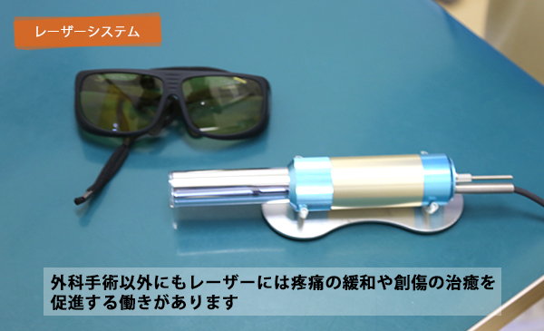 マーチ動物病院 院内