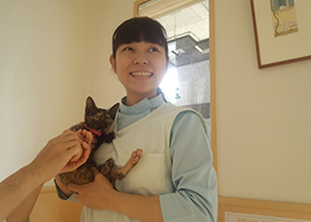 佐藤 瑠美 (さとう るみ)