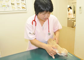 健康診断