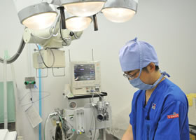 去勢・避妊去勢