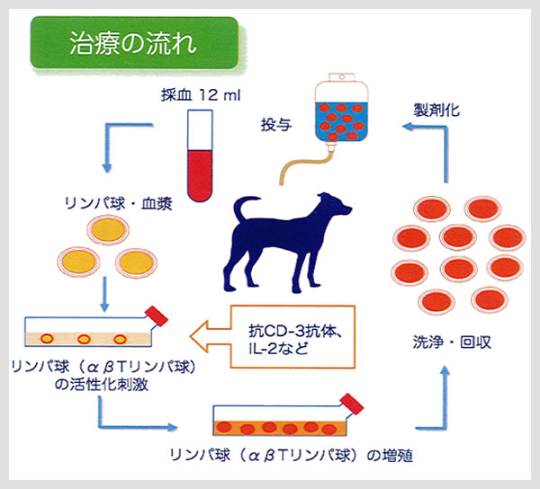 治療方法