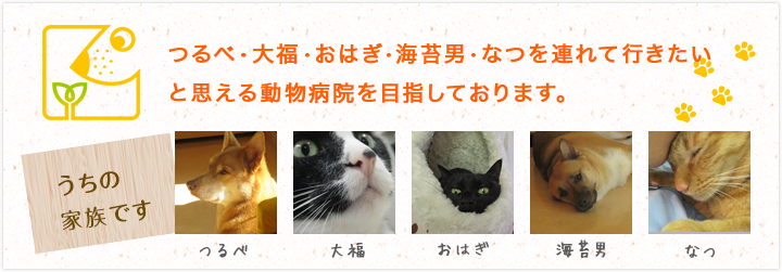 大福・おはぎ・つるべ・海苔男・なつを連れて行きたいと思える動物病院を目指しております。