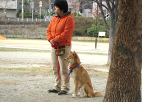 こんな事とは?
