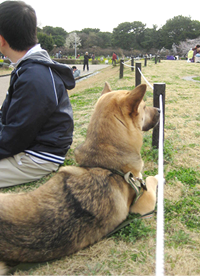 なぜいけないのか?