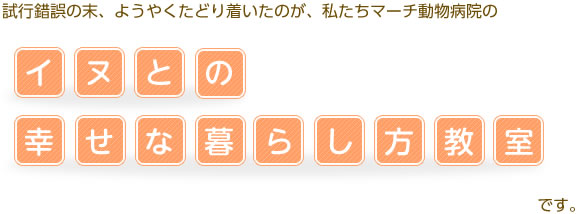 試行錯誤の末、ようやくたどり着いたのが、私たちマーチ動物病院のイヌとの幸せな暮らし方教室です。