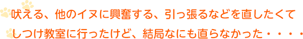 吠える、他のイヌに興奮する、引っ張るなどを直したくて
しつけ教室に行ったけど、結局なにも直らなかった・・・・